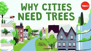 What happens if you cut down all of a city's trees?