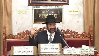 הרב אייל שרגא • פרשת משפטים תשפ'ד (בית הכנסת מוסאיוף - ערוץ חדש) - התמונה מוצגת ישירות מתוך אתר האינטרנט יוטיוב. זכויות היוצרים בתמונה שייכות ליוצרה. קישור קרדיט למקור התוכן נמצא בתוך דף הסרטון