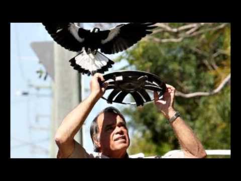 Come to Australia (you might accidently get killed) slideshow/video