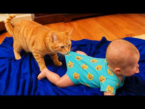 Funny Babies Playing with Cats Compilation 🤣🐱 The BEST Funny Baby and Pets Video! - Minute Munchkins