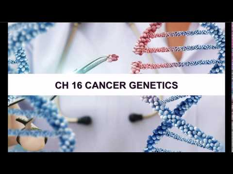 Ch 16 Cancer Genetics Part 1