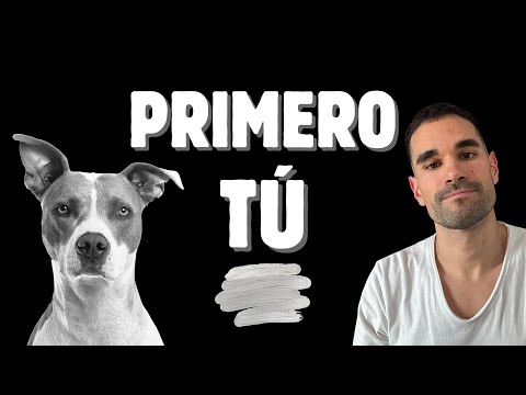 NO des de COMER a tu PERRO ANTES que TÚ