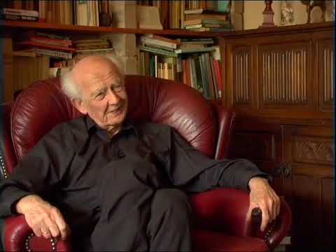 Rein Raud in conversation with Zygmunt Bauman