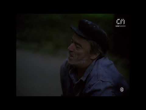 "Uite ce-nseamă să ai carte" (© Cel mai iubit dintre pământeni, 1993)