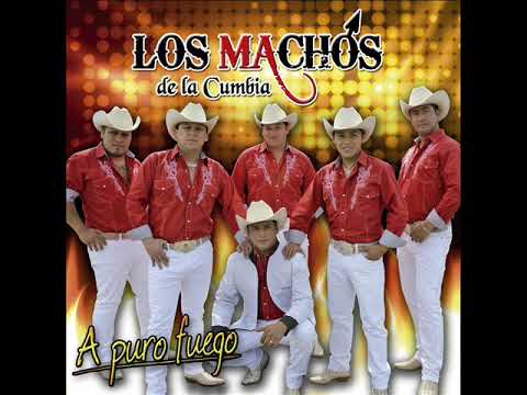 Los Machos de la Cumbia -  Amor entre cuatro paredes