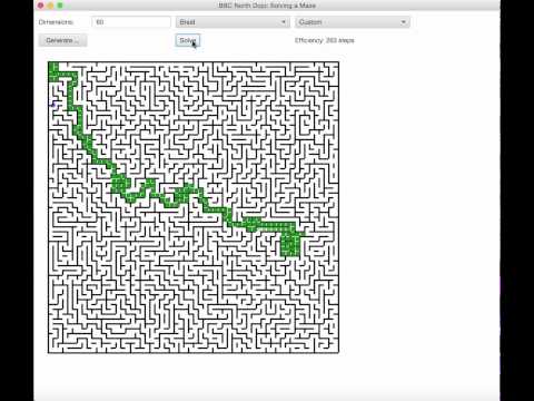 Algorithm Java Solves Braid Maze Fast