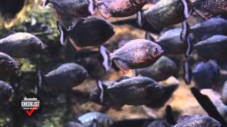 เที่ยวรอบโลก CHECKLIST : BUSAN/SEOUL EP.2 OA120159