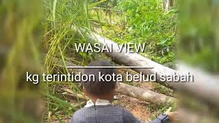 preview picture of video 'WASAI VIEW | KG TERINTIDON KOTA BELUD SABAH | 27/12/2018'
