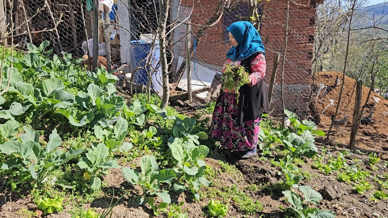 ‼️DÖRT SOĞAN ÜÇ YUMURTA BİR TAVA KAVURMA‼️🔥🔥🔥