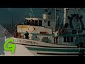 What was the original goal of Greenpeace?
