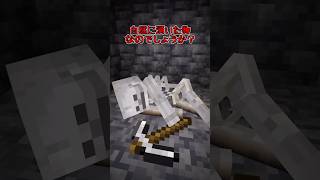 【マイクラ/アドオン紹介】次に骸骨になるのはあなたかもしれません【ゆっくり実況/ゆっくり紹介】 #マイクラ #アドオン紹介 #マインクラフト