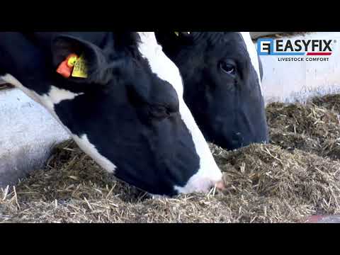 EASYFIX Stalleinrichtungen mit Kuhkomfort | Milchhof Diers - Oldenburg