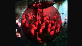 Music video thumbnail preview for WOMEN - Bullfight by Women