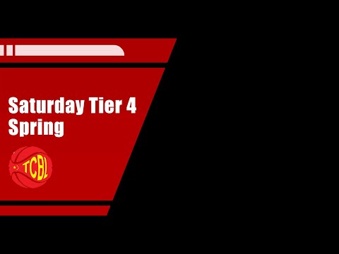 Aces vs Flipside | Saturday Tier 4 - Tcbl 2019 Spring