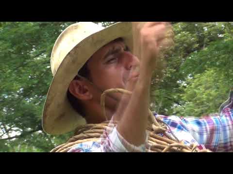 Con Mi Lazo Tramoliao - Wolfang Mora