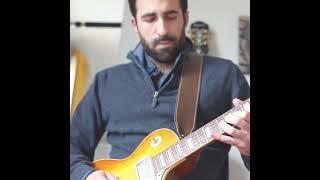 Lynyrd Skynyrd - White Dove (Guitar solo)