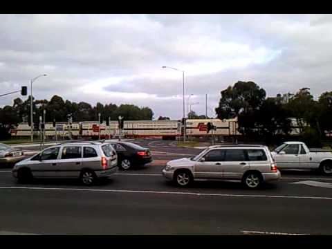 Australian Locomotives - SCT - MP9