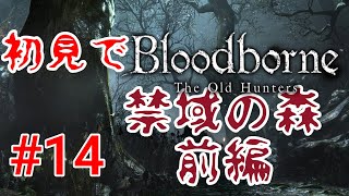 【Bloodborne】怪しげな森にて#14