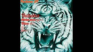 Download lagu story wa macan putih prabu siliwangi // marahnya orang pendiam mp3