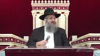 סודות מגילת אסתר|הרב שלמה לוינשטיין