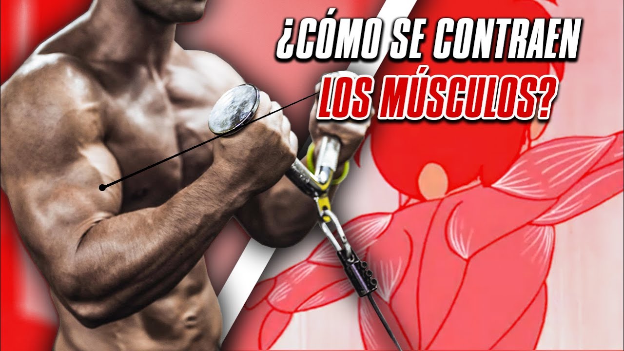 Christian Jimenez Arranz-11