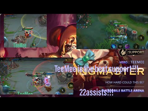 TeeMee It is the best support!!!! 22assists in 15 minutes