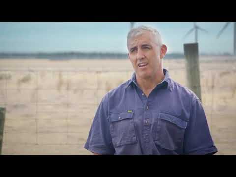 Sheep meat eating quality. Meat Standards Australia MSA