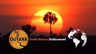 Guyana  - Nature - 123