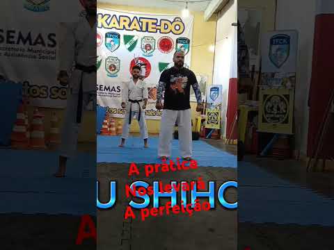 Treinando Kata Tradicional.  oss. #tfck #fcks #cbka #skib