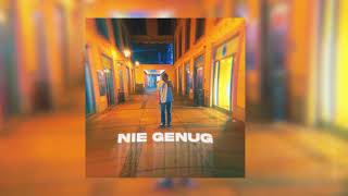 Nie Genug Lyrics English Translation