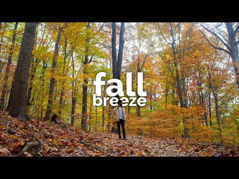 Fall Breeze Cinematic Vlog Fall In Bloomington