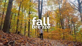 Fall Breeze | Cinematic Vlog | Fall in Bloomington