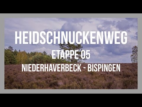 Heidschnuckenweg | Etappe 05 - Niederhaverbeck - Bispingen | Lüneburger Heide | GPS-Track