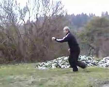 Xingyi 5 Elements Linking form 形意 五形连环拳