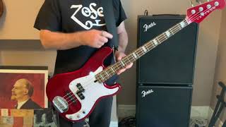 So what, Crass brief bass guitar lesson and cover by The Bass Punk