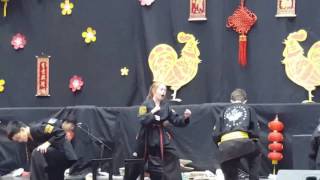 2017 Chinese New Year Celebration Taegeuk Taekwondo Edmonton Demo Team Performance