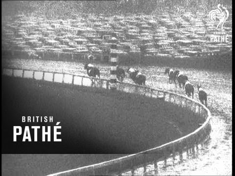 Preakness Stakes Race In USA (1938)