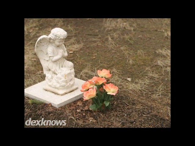 Meadows Funeral Home - Rolling Meadows, IL