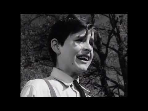 Das Licht der Liebe  -  Spielfilm -  Paula Wessely Stefan Skodler