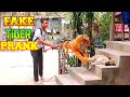 Fake Tiger Prank Sleeping Dog Funny Dog Video 2025