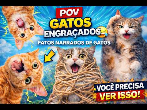 Video POV animais Os animais Mais incríveis do Mundo! #gatos #pets #shortsanimais