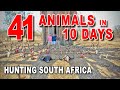 41 Animals In 10 Days South Africa Safari Abroad Sandstone Safaris