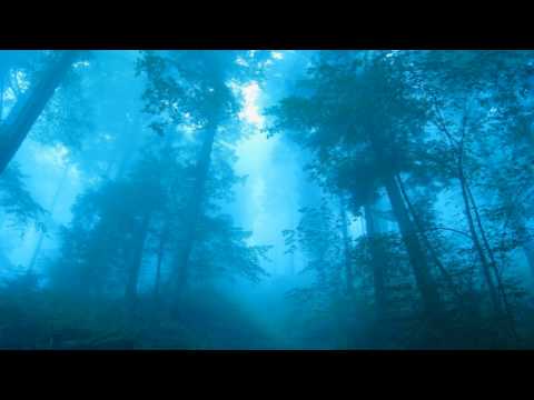 Lange pres Firewall - Wanderlust (Sunny Lax Uplifting Mix)