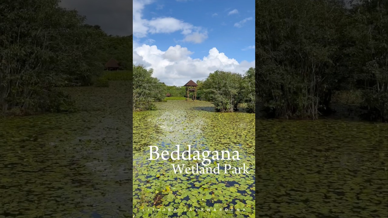 YouTube Short thumbnail