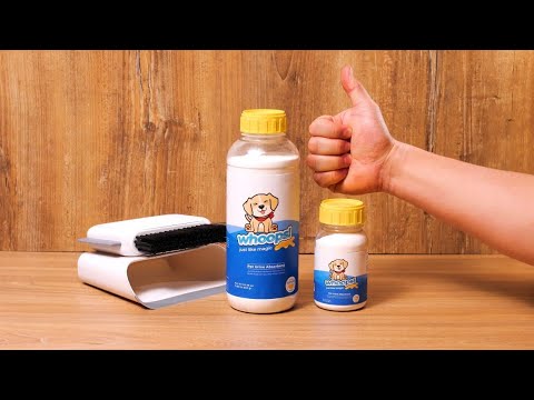 Whoops Magic: The powder that turns any liquid spill into solids in seconds! ✨🧼