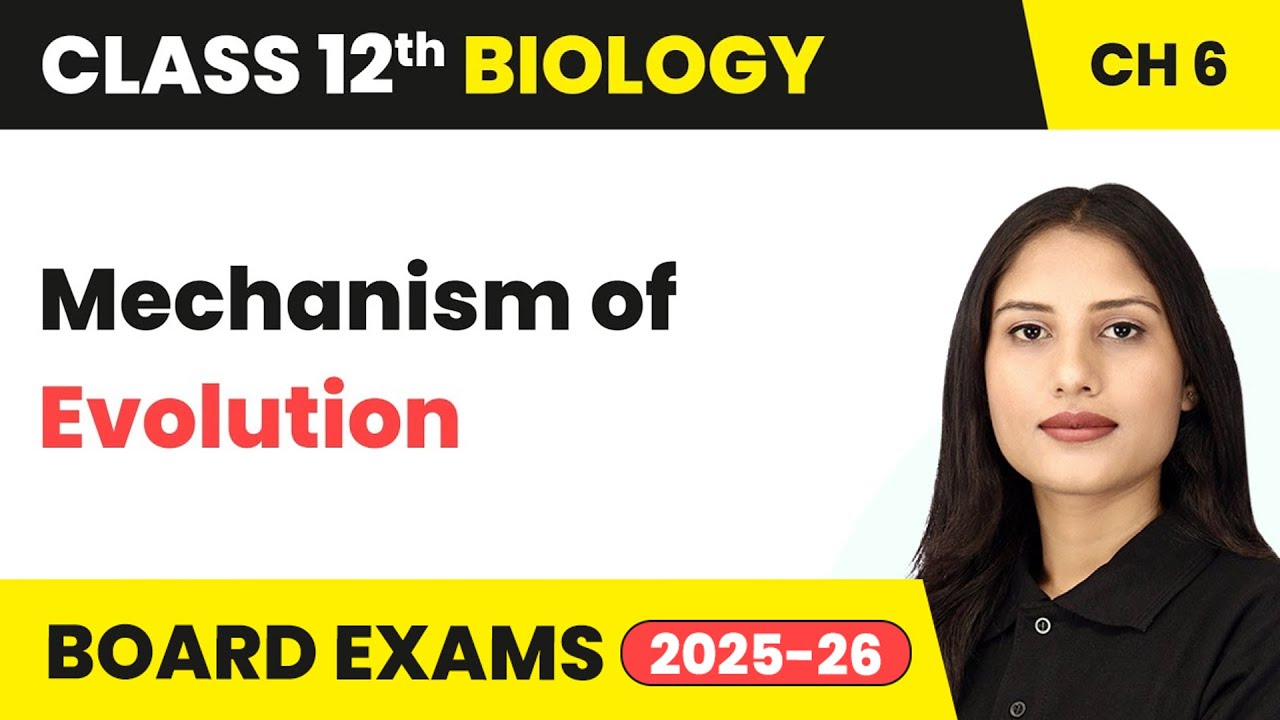 Mechanism of Evolution - Evolution | Class 12 Biology Chapter 6 | CBSE 2024-25