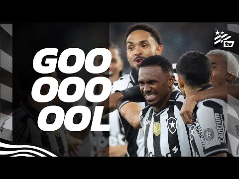 Goals | Botafogo 2x1 Bahia | Brasileirão