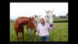 Jill Bloomer - If Wishes Were Horses