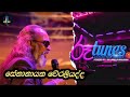 සේනානායක වේ‍රලියද්ද All Songs Senanayake Weraliyadda Roo Tunes C