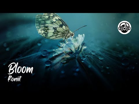 Bloom - Roniit
